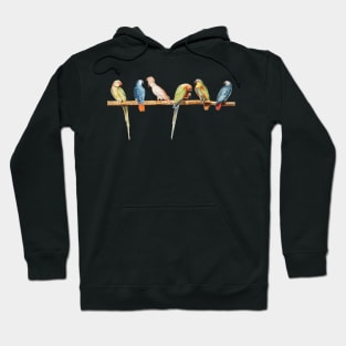 Perch of Parrots Hoodie